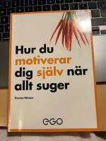 Hur du motiverar dig sj&auml;lv n&auml;r allt suger