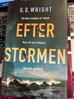 Efter stormen
