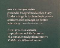 Gotland: i f&aring;gelns &ouml;ga: sedan sjunker den aldrig...