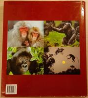 En hyllning till aporna