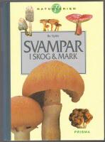 Svampar i skog och mark