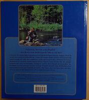 Solfisken: harren som flugfisk