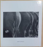 De f&ouml;rsilvrade naglarna: om fotografiens ut&ouml;vare i Eskilstuna under 160 &aring;r