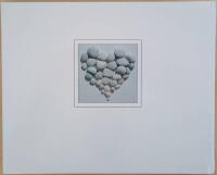 Le Cotentin, regard en la presqu'&icirc;le