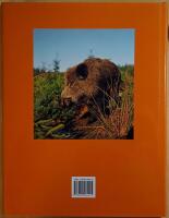 Vildsvinsjakt: milj&ouml; - viltv&aring;rd - jakt