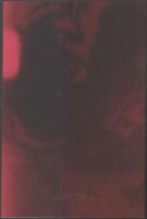 M&ouml;rker som material: en ess&auml; om filmens d&ouml;d