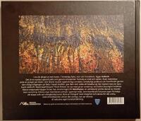 Hellevik 360&deg;: Halvikhula, stein, skjell, alger, hav