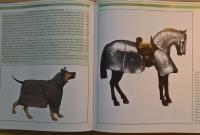 Brassey's Book of Body Armour