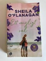 Ett om&ouml;jligt val