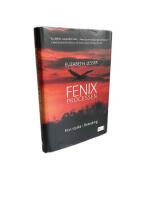 Fenixprocessen : finn styrka i f&ouml;r&auml;ndring