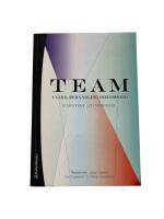 Team i v&aring;rd, behandling och omsorg : erfarenheter och reflektioner