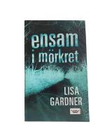 Ensam i m&ouml;rkret