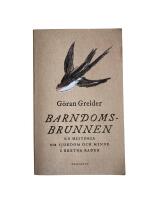 Barndomsbrunnen : en historia om sjukdom och minne i brutna rader