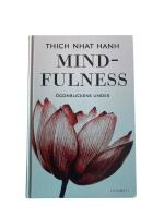 Mindfulness : &ouml;gonblickens under