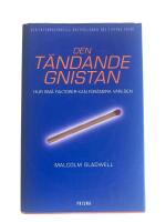 Den t&auml;ndande gnistan : Hur sm&aring; faktorer kan f&ouml;r&auml;ndra v&auml;rlden
