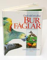 Goda r&aring;d om dina burf&aring;glar