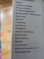 Raskens : en soldatfamiljs historia