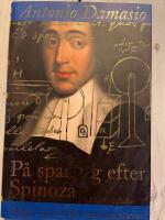 P&aring; spaning efter Spinoza : Gl&auml;dje, sorg och den k&auml;nnande hj&auml;rnan