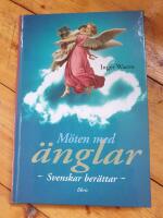 M&ouml;ten med &auml;nglar 