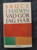 Vad g&ouml;r jag h&auml;r