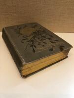 Den stora striden mellan ljus och m&ouml;rker i den kristna tids&aring;ldern