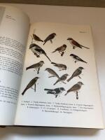 F&aring;gelboken Sveriges f&aring;glar i ord och bild