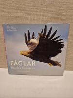 F&aring;glar : magiska &ouml;gonblick