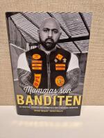 Mammas son banditen : en brutal roman om kriminalitet i dagens Sverige