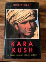 Kara Kush: en roman om kriget v&auml;rlden gl&ouml;mde