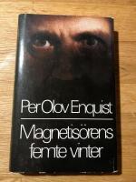 Magnetis&ouml;rens femte vinter