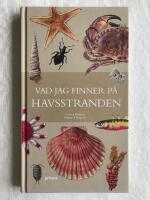 Vad jag finner p&aring; havsstranden