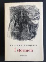 I stormen