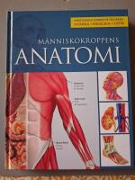 M&auml;nniskokroppens anatomi
