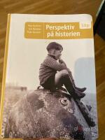 Perspektiv p&aring; historien