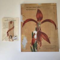 L&aring;t inte r&aring;ttor eller mal f&ouml;rd&auml;rva : linn&eacute;samlingar i Uppsal : Uppsala universitets jubileumsbok