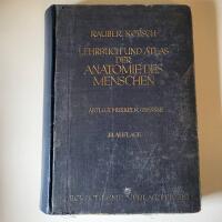 Lehrbuch und atlas der anatomie des menschen