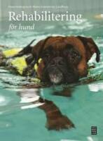Rehabilitering f&ouml;r hund