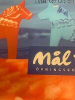 M&aring;l 1 &Ouml;vningsbok, fj&auml;rde upplagan