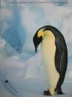 Living in the Environment