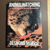 Animalwatching A Field Guide to Animal Behaviour