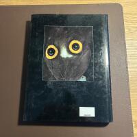 Animalwatching A Field Guide to Animal Behaviour