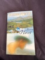 Bortom havet