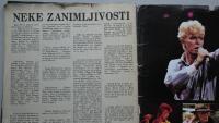 Ko je David Bowie