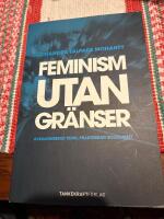 Feminism utan gr&auml;nser : avkoloniserad teori, praktiserad solidaritet