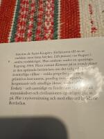 Kamrater p&aring; en irrande planet