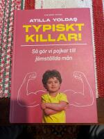 Typiskt killar! : s&aring; g&ouml;r vi pojkar till j&auml;mst&auml;llda m&auml;n