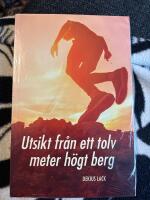 Utsikt fr&aring;n ett tolv meter h&ouml;gt berg