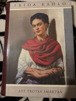 Att trotsa sm&auml;rtan : brev i urval av Martha Zamora