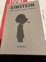 Einstein f&ouml;r envar