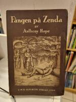 F&aring;ngen p&aring; Zenda : Ber&auml;ttelsen om tre m&aring;nader av en engelsk gentlemans liv